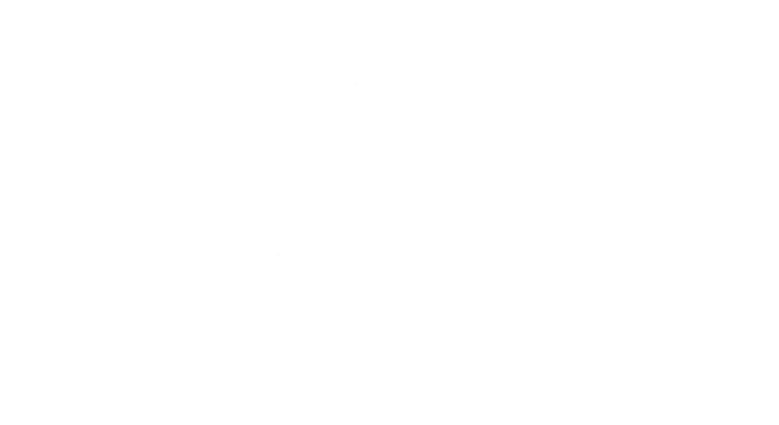 Annapolis Chimney Sweep Logo